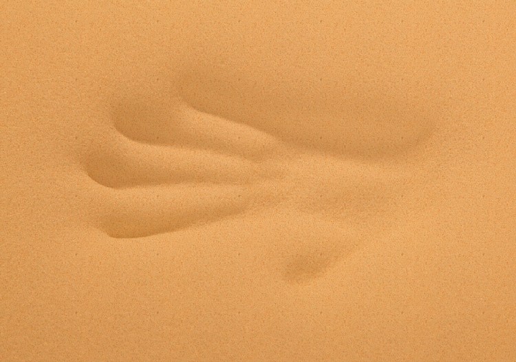 visco1_orange_1_1200.jpg
